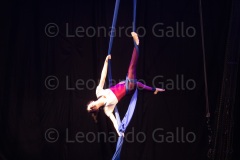LEO_1729