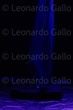 LEO_2264