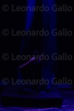 LEO_2265