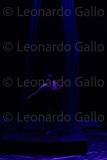 LEO_2266