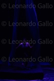 LEO_2267