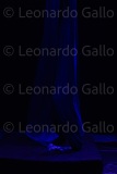 LEO_2268