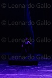 LEO_2270