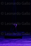 LEO_2271