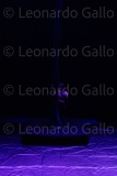 LEO_2272