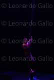 LEO_2275