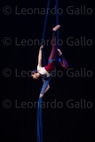 LEO_2295