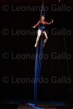 LEO_2660