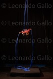 LEO_2673