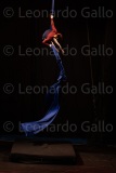 LEO_2691