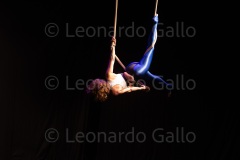 LEO_1769