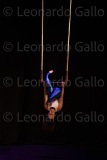 LEO_1829