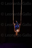 LEO_1831