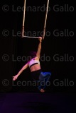 LEO_1833