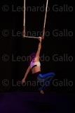 LEO_1834