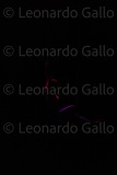 LEO_2310