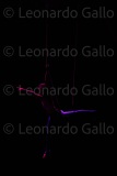 LEO_2314
