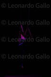 LEO_2316