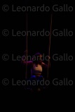 LEO_2319