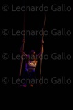 LEO_2320
