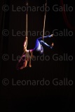 LEO_2325