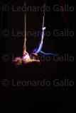 LEO_2326