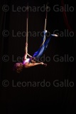 LEO_2329