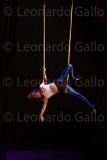 LEO_2334