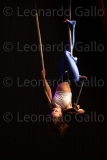 LEO_2371