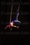 LEO_2377
