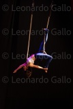 LEO_2378