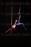 LEO_2379