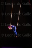 LEO_2382