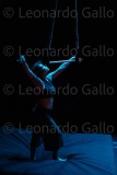 LEO_2162