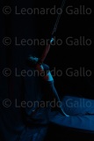 LEO_2167