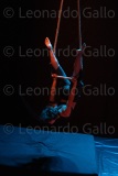 LEO_2173