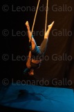 LEO_2176