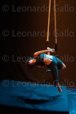 LEO_2177