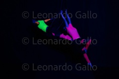 Cabare-Burlesco-2022-619