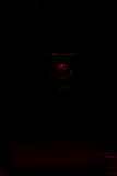 LEO_1456
