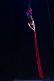 LEO_9141