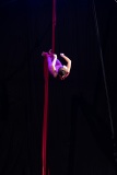 LEO_0252