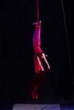 LEO_0255