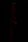 LEO_0258