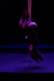 1_LEO_1263