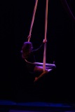 1_LEO_1293