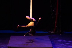1_LEO_1353