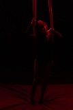 2_LEO_0558