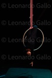 LEO_3049