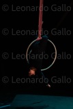 LEO_3051
